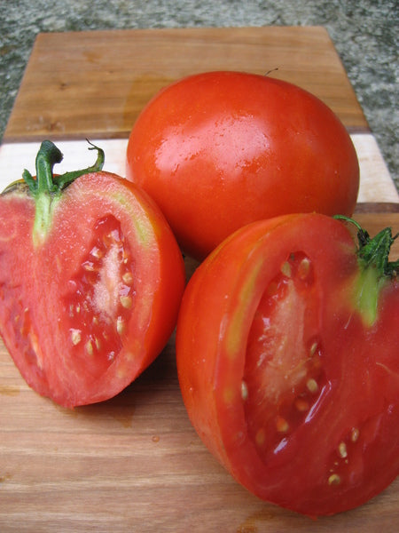 Cosmonaut Volkov Tomato Seedlings
