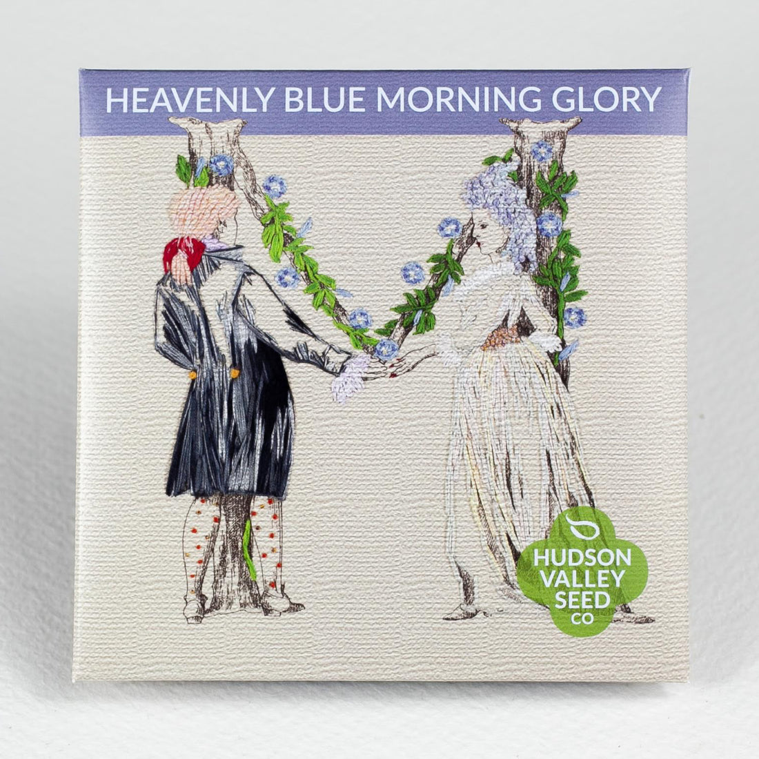 Heavenly Blue Morning Glory Seedlings