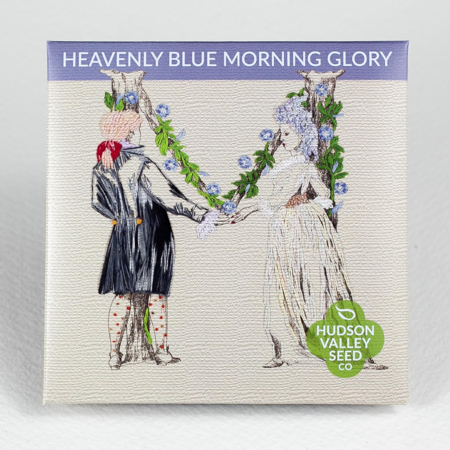 Heavenly Blue Morning Glory Seedlings