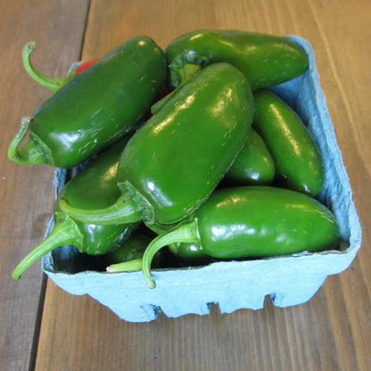 Tam Jalapeno Pepper Seedlings