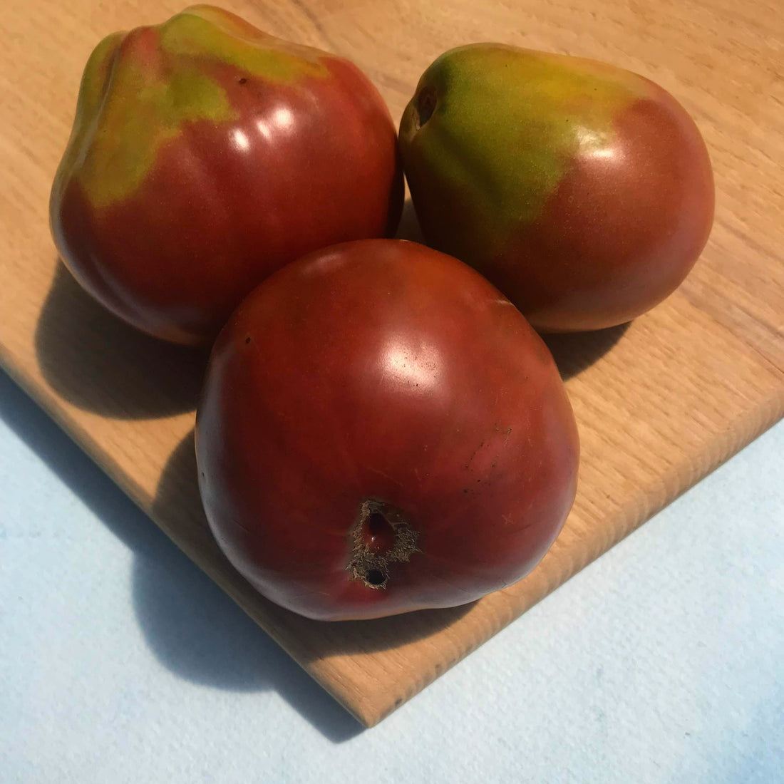 Japanese Black Trifele Tomato Seedlings