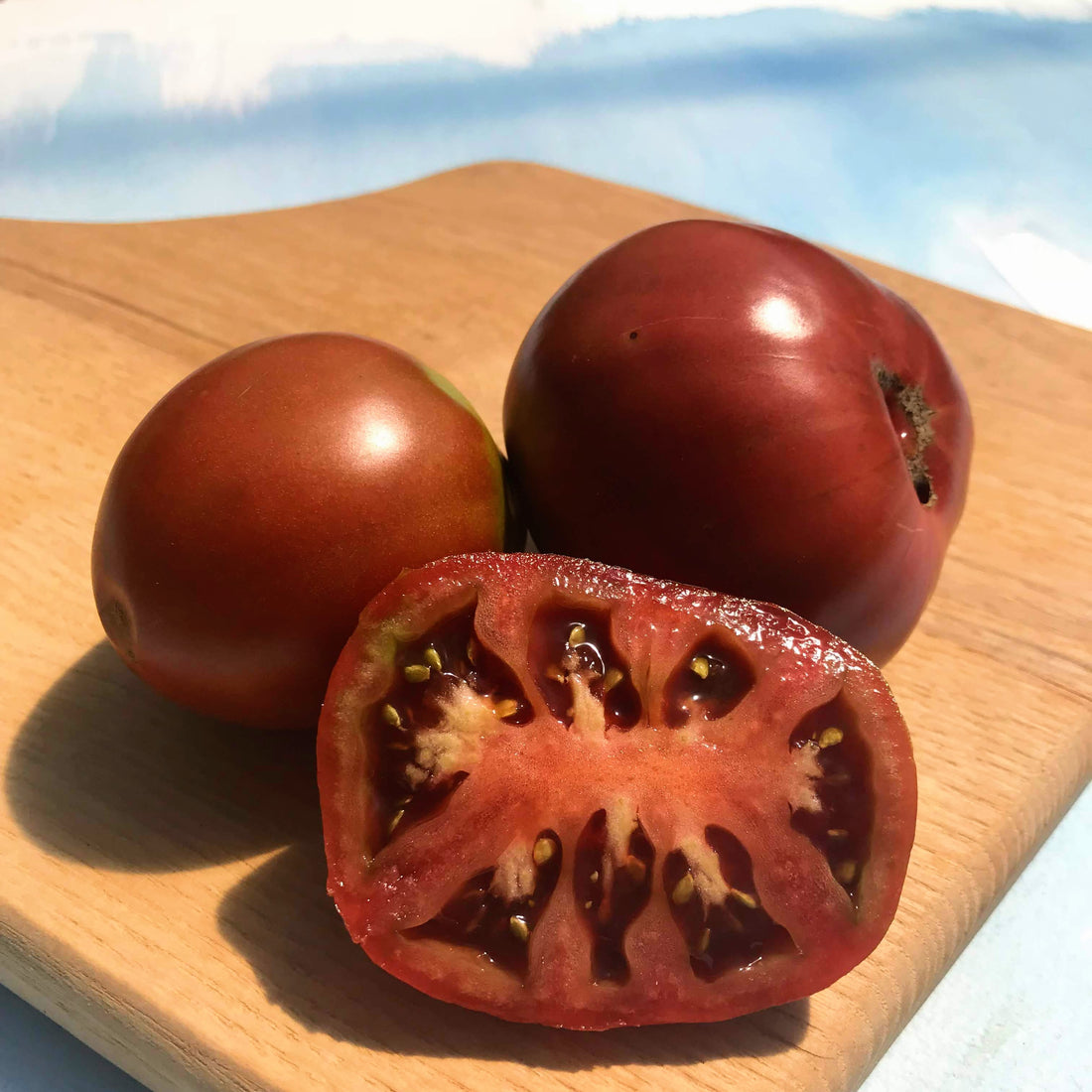 Japanese Black Trifele Tomato Seedlings