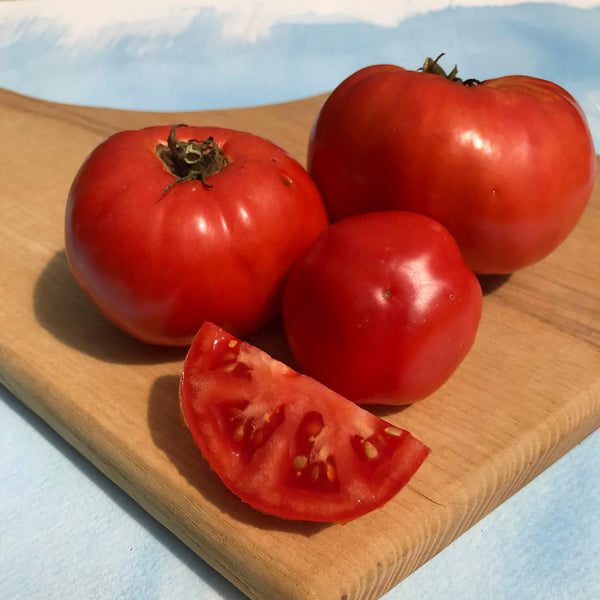 Cosmonaut Volkov Tomato Seedlings | Hudson Valley Seed Company