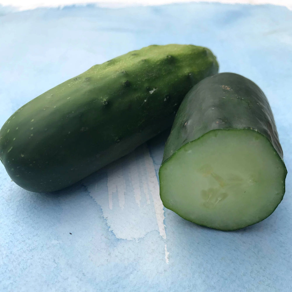 Marketmore 76 Cucumber Seedlings