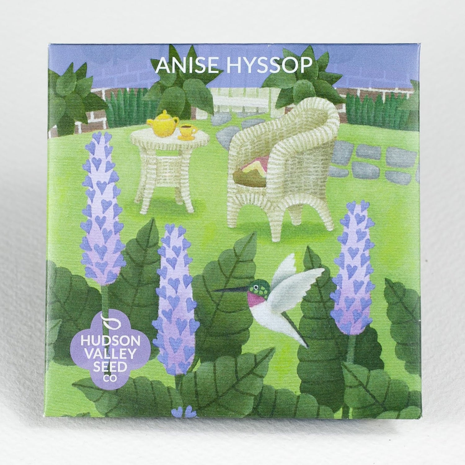 Anise Hyssop Seedlings