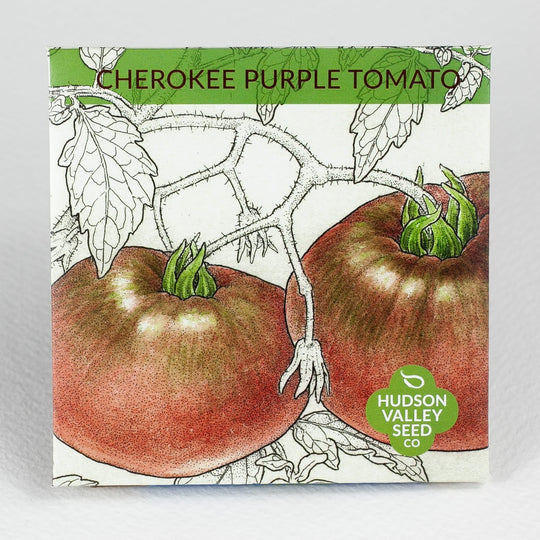 Cherokee Purple Tomato Seeds – Organic, Heirloom, Native, 51+ Seeds For Garden