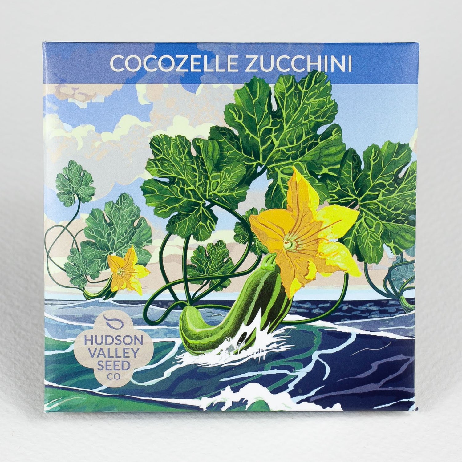 Cocozelle Zucchini Art Pack