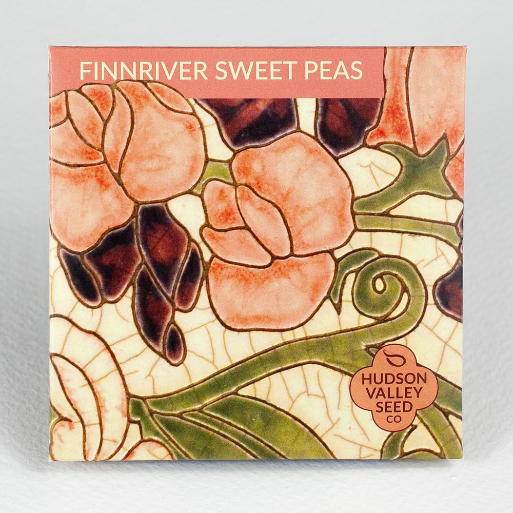 Finnriver Sweet Pea Seedlings