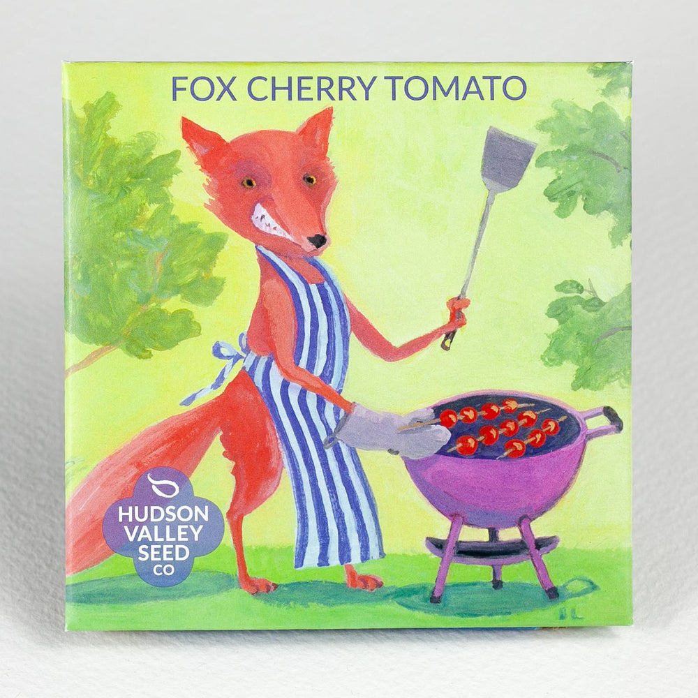 Fox Cherry Tomato Seedlings