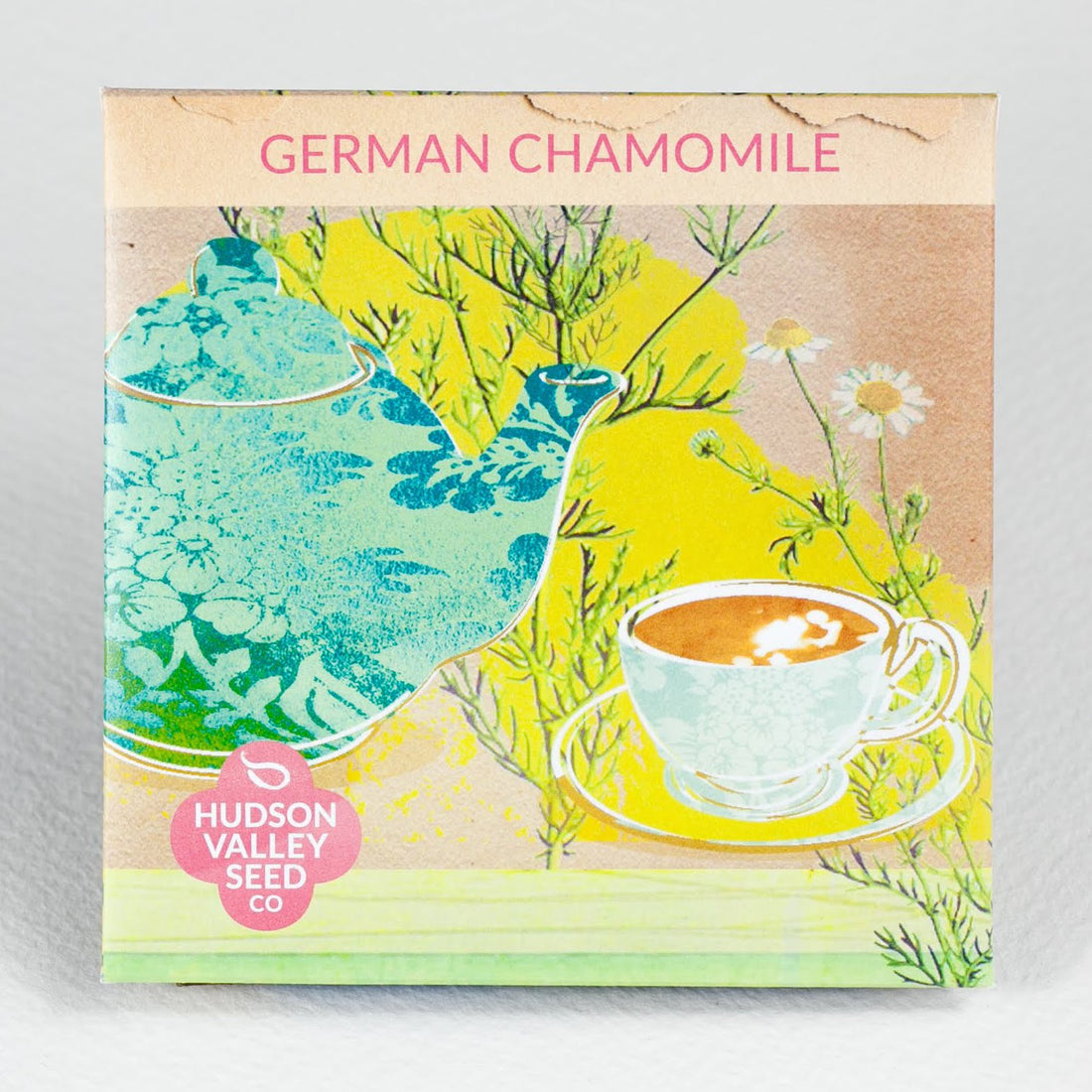 German Chamomile Seedlings