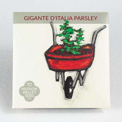 Gigante D&