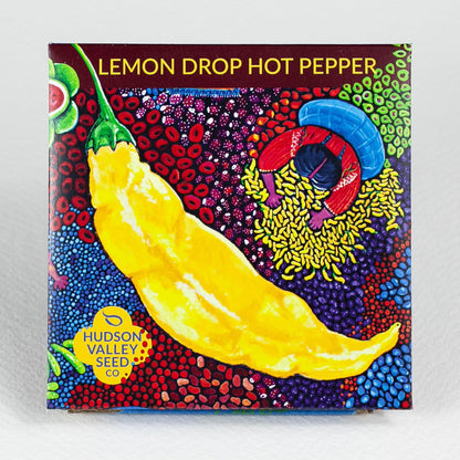 Lemon Drop Hot Pepper Seedlings