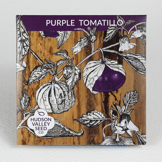 Purple Tomatillo Seedlings