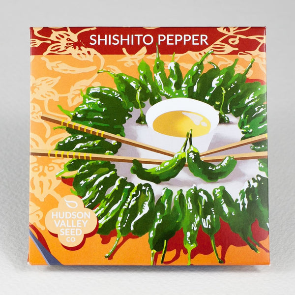 Shishito Pepper Seedlings