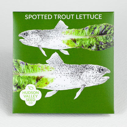 Spotted Trout Lettuce Art Pack