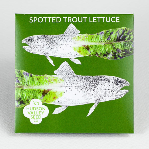 Spotted Trout Lettuce Art Pack
