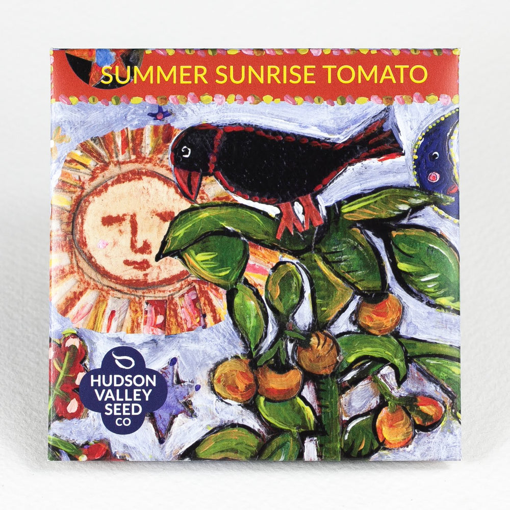 Summer Sunrise Tomato Seedlings