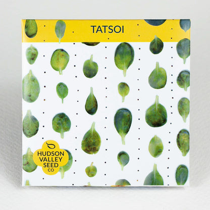 Tatsoi Seedlings