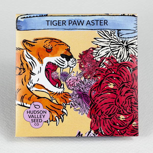 Tiger Paw Aster Art Pack