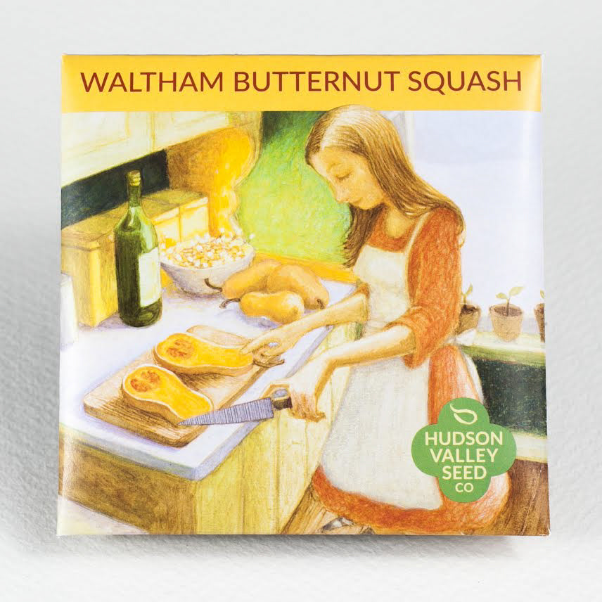 Waltham Butternut Squash Art Pack