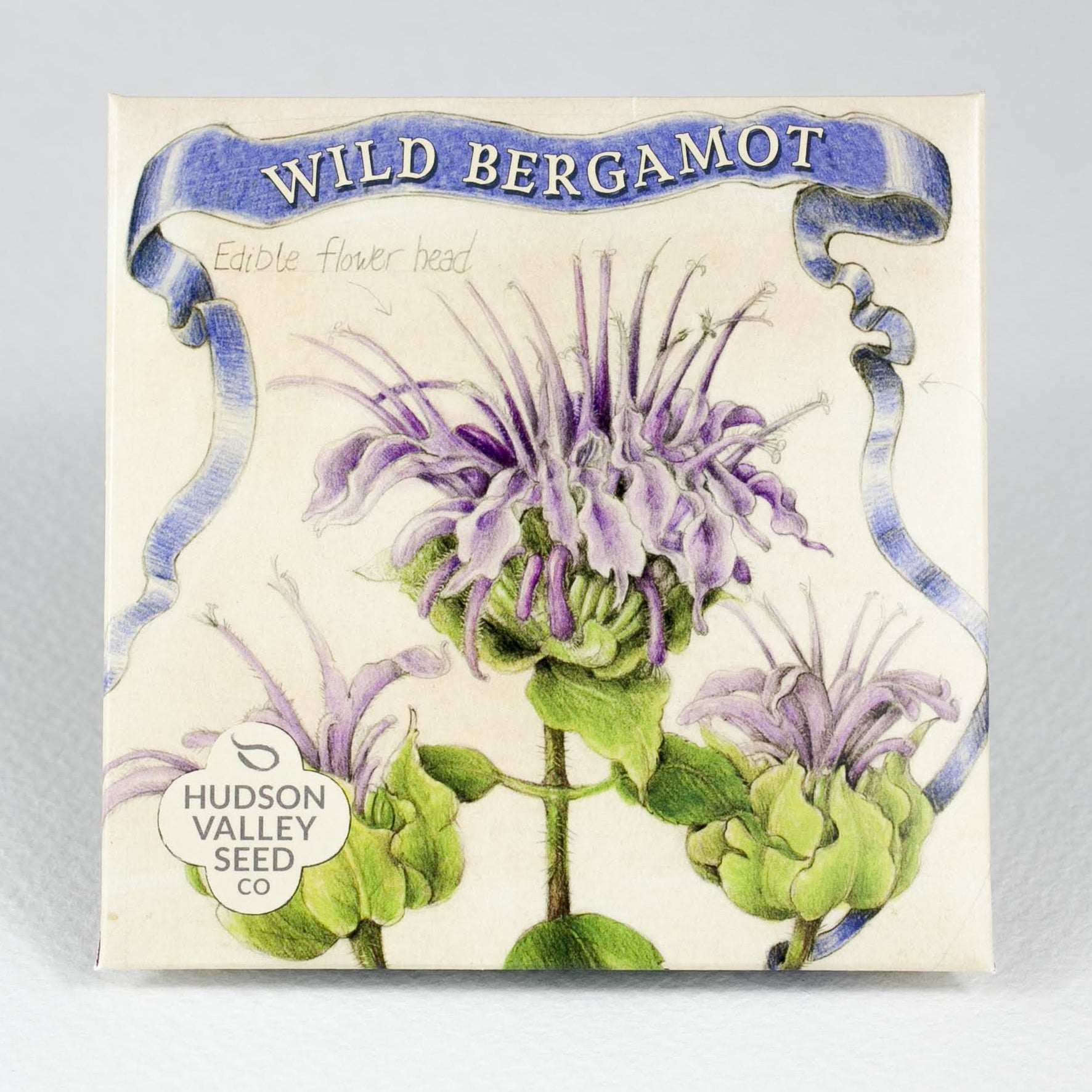 Wild Bergamot Seedlings