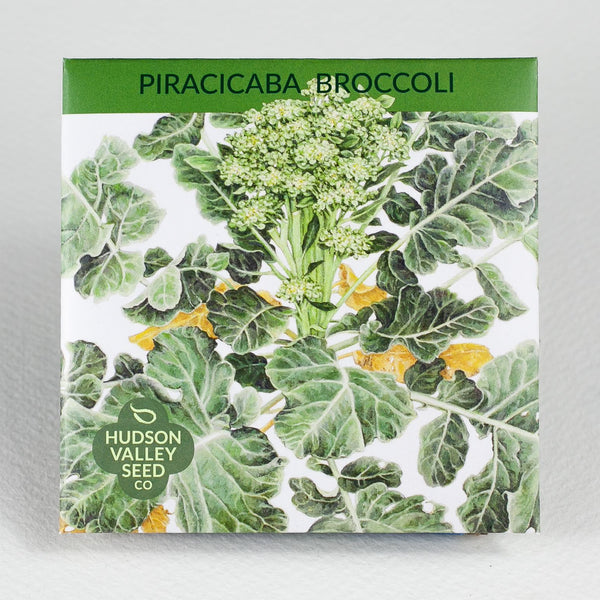 Piracicaba Broccoli Art Pack