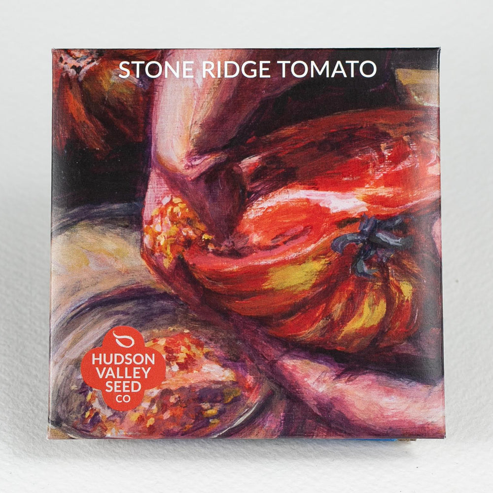 Stone Ridge Tomato Seedlings
