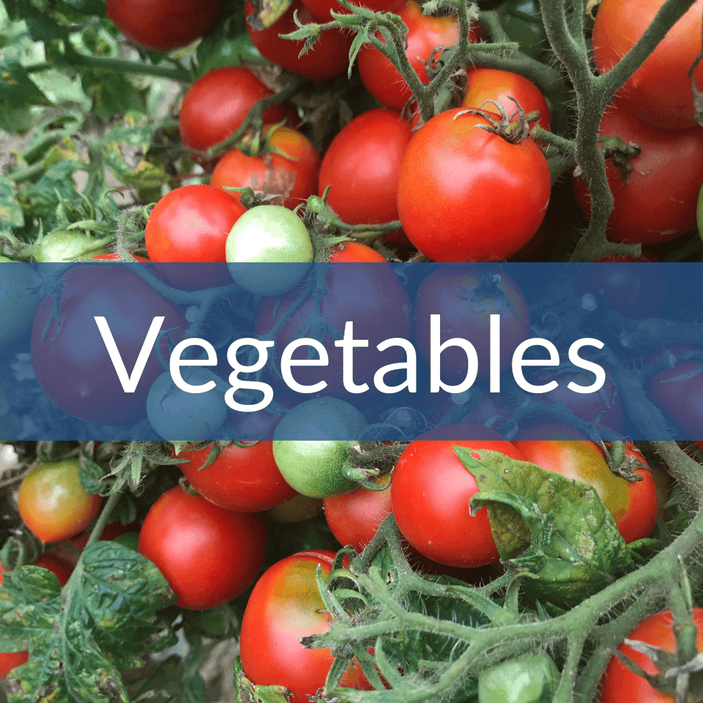 Vegetable Seeds Hudson Valley Seed Company